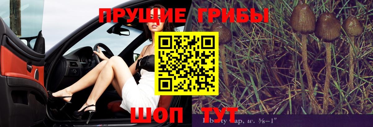 Псилоцибиновые грибы GOLDEN TEACHER  Псилоцибиновые грибы ЛСД  Вход с VPN  Зима 
